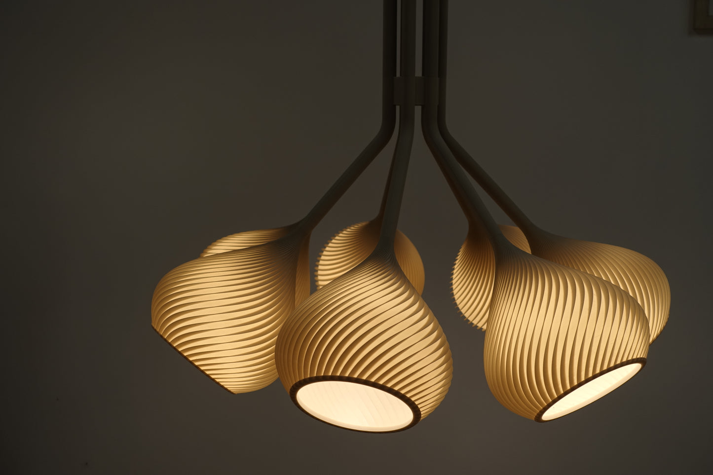 MODEL 00 - CUSTOM PROJECT